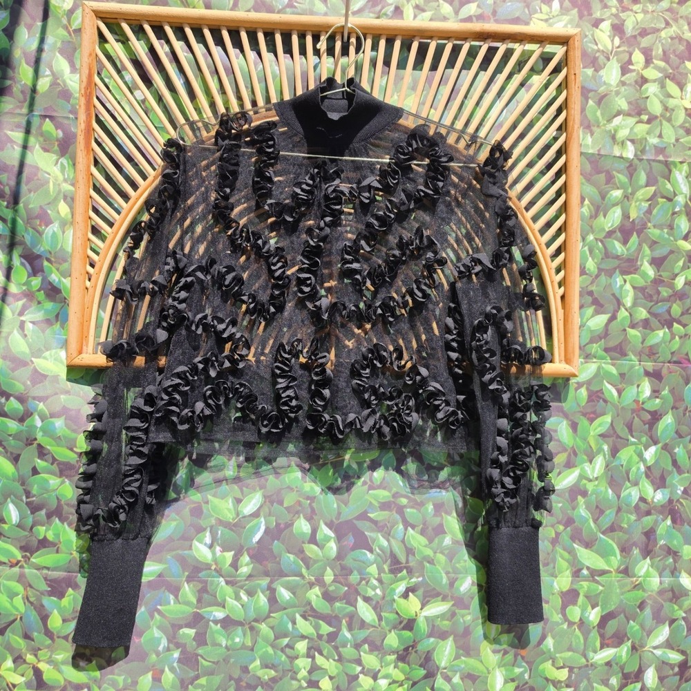 Zara Black Sheer Mesh 3D Ruffle Floral Applique Mock Neck Top Small